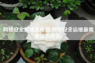 网络安全运维流程图(网络安全运维最需要哪些技能)