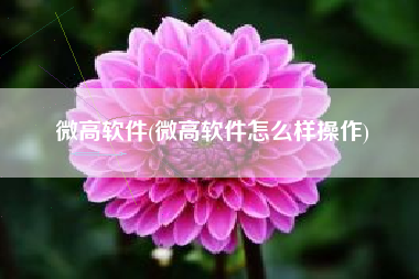微高软件(微高软件怎么样操作)
