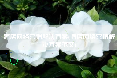 酒店网络营销解决方案(酒店网络营销解决方案范文)