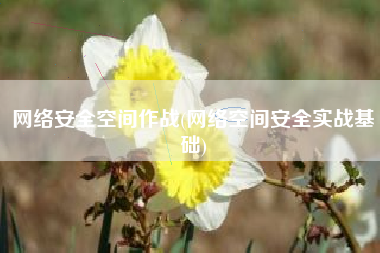 网络安全空间作战(网络空间安全实战基础)