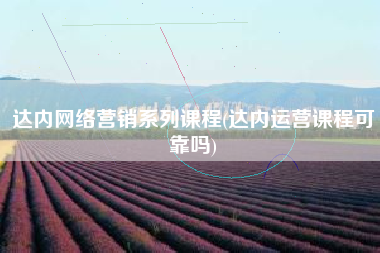 达内网络营销系列课程(达内运营课程可靠吗)
