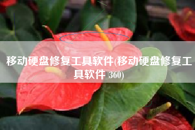 移动硬盘修复工具软件(移动硬盘修复工具软件 360)