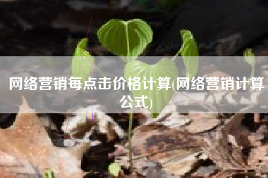 网络营销每点击价格计算(网络营销计算公式)