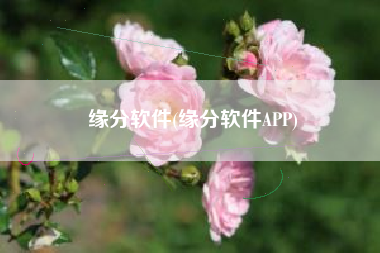 缘分软件(缘分软件APP)