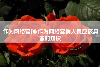 作为网络营销(作为网络营销人员应该具备的知识)