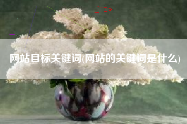 网站目标关键词(网站的关键词是什么)