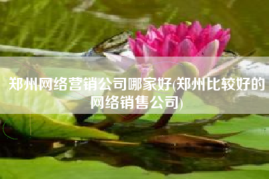 郑州网络营销公司哪家好(郑州比较好的网络销售公司)
