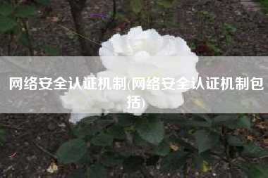 网络安全认证机制(网络安全认证机制包括)