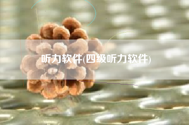 听力软件(四级听力软件)