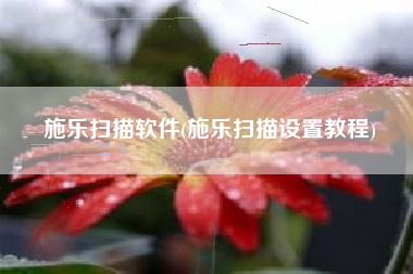 施乐扫描软件(施乐扫描设置教程)