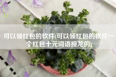 可以领红包的软件(可以领红包的软件一个红包十元词语接龙的)