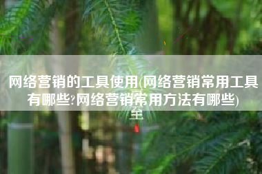网络营销的工具使用(网络营销常用工具有哪些?网络营销常用方法有哪些)