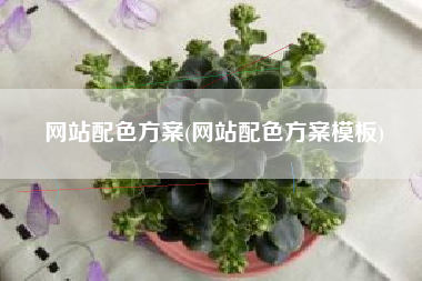 网站配色方案(网站配色方案模板)