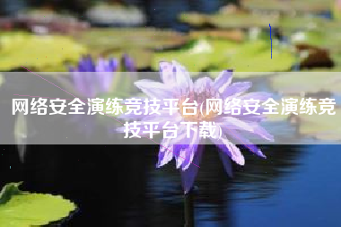 网络安全演练竞技平台(网络安全演练竞技平台下载)