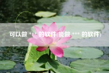 可以做 *** 的软件(能做 *** 的软件)