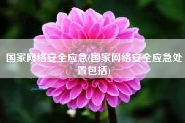 国家网络安全应急(国家网络安全应急处置包括)