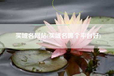 买域名网站(买域名哪个平台好)