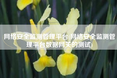网络安全监测管理平台(网络安全监测管理平台数据网关的测试)