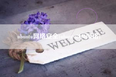 ubuntu网络安全(ubuntu2004网络)