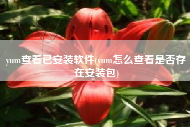 yum查看已安装软件(yum怎么查看是否存在安装包)