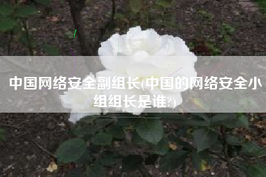 中国网络安全副组长(中国的网络安全小组组长是谁?)