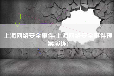 上海网络安全事件(上海网络安全事件预案演练)