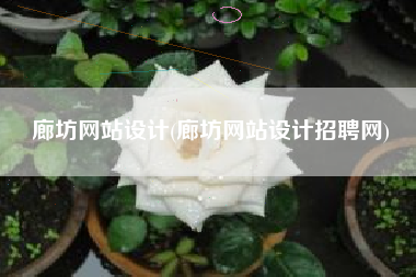 廊坊网站设计(廊坊网站设计招聘网)