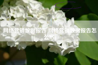 网络营销数据报告(网络营销数据报告怎么写)
