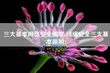 三大基本网络安全需求(网络安全三大基本原则)
