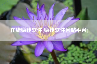在线赚钱软件(赚钱软件网站平台)