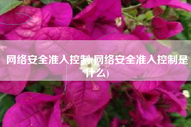 网络安全准入控制(网络安全准入控制是什么)