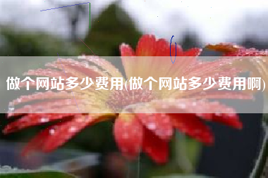 做个网站多少费用(做个网站多少费用啊)