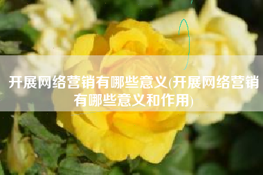 开展网络营销有哪些意义(开展网络营销有哪些意义和作用)