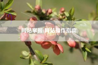 网站掌握(网站操作指南)