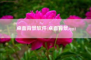 桌面背景软件(桌面背景app)