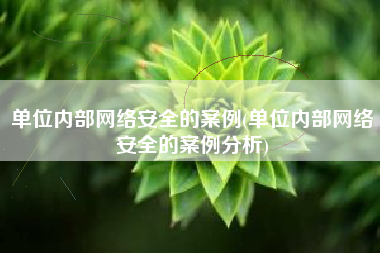 单位内部网络安全的案例(单位内部网络安全的案例分析)