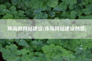 珠海微网站建设(珠海网站建设创意)