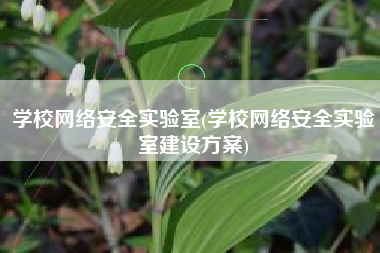 学校网络安全实验室(学校网络安全实验室建设方案)