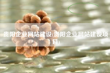 贵阳企业网站建设(贵阳企业网站建设项目)