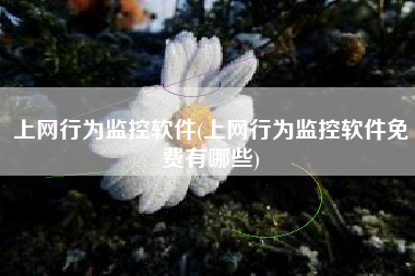 上网行为监控软件(上网行为监控软件免费有哪些)