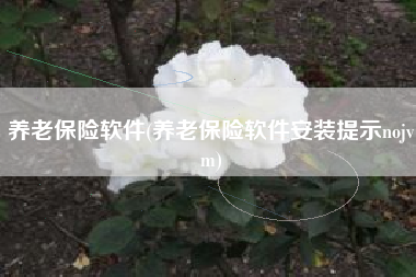 养老保险软件(养老保险软件安装提示nojvm)