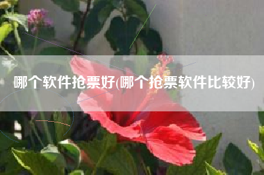 哪个软件抢票好(哪个抢票软件比较好)