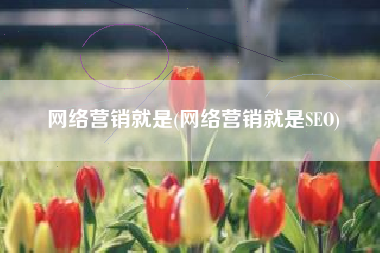 网络营销就是(网络营销就是SEO)