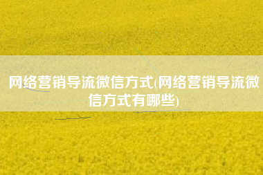 网络营销导流微信方式(网络营销导流微信方式有哪些)