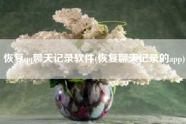 恢复qq聊天记录软件(恢复聊天记录的app)