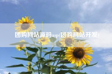 团购网站源码asp(团购网站开发)
