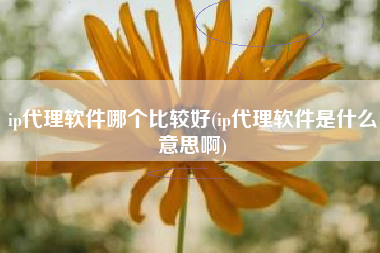 ip代理软件哪个比较好(ip代理软件是什么意思啊)