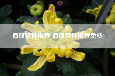 播放软件推荐(播放软件推荐免费)