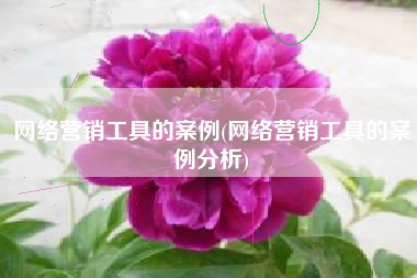 网络营销工具的案例(网络营销工具的案例分析)