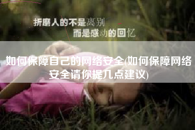 如何保障自己的网络安全(如何保障网络安全请你提几点建议)